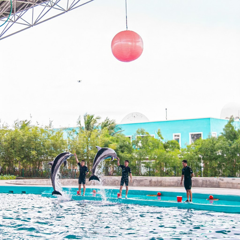 Danang Dolphinarium